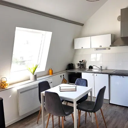 Centre De Duplex Renove Appartement Reims